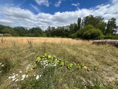 Terrain  2927 m²