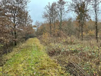 Terrain de Loisirs - boisé CHATRES SUR CHER
