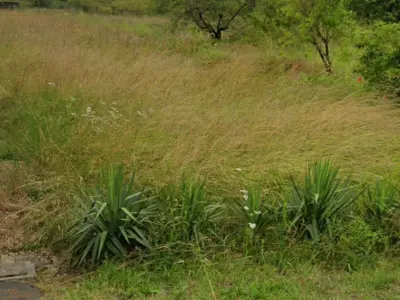 Terrain À Vendre ROMORANTIN-LANTHENAY