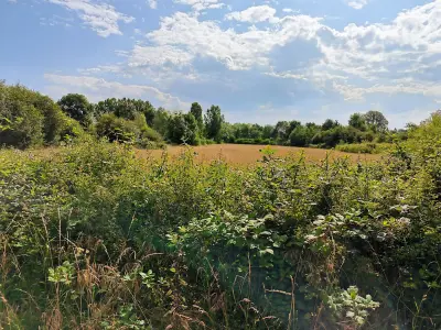 Terrain  4967 m²