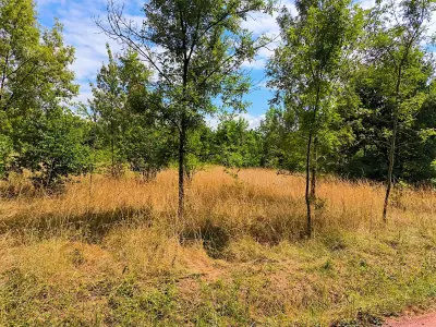 Terrain À Vendre